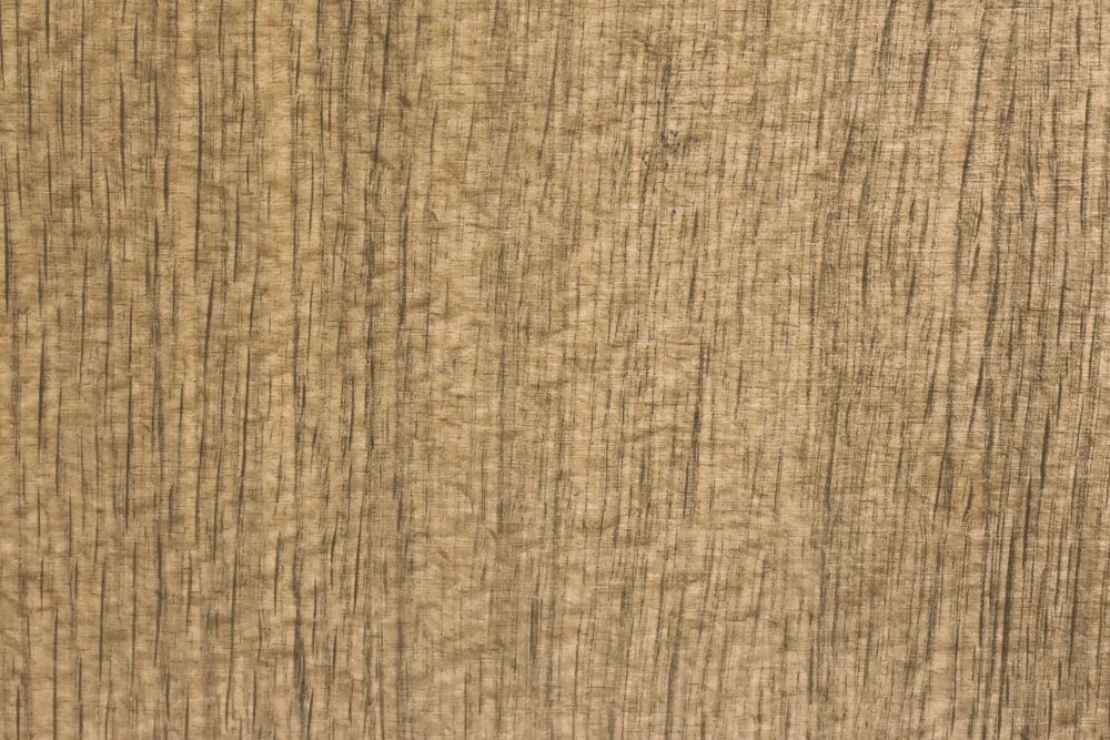 Laminate Freijo (M819TX)
