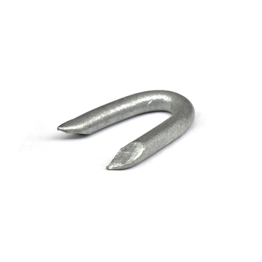 Staples Galvanized 3/4in 1kg