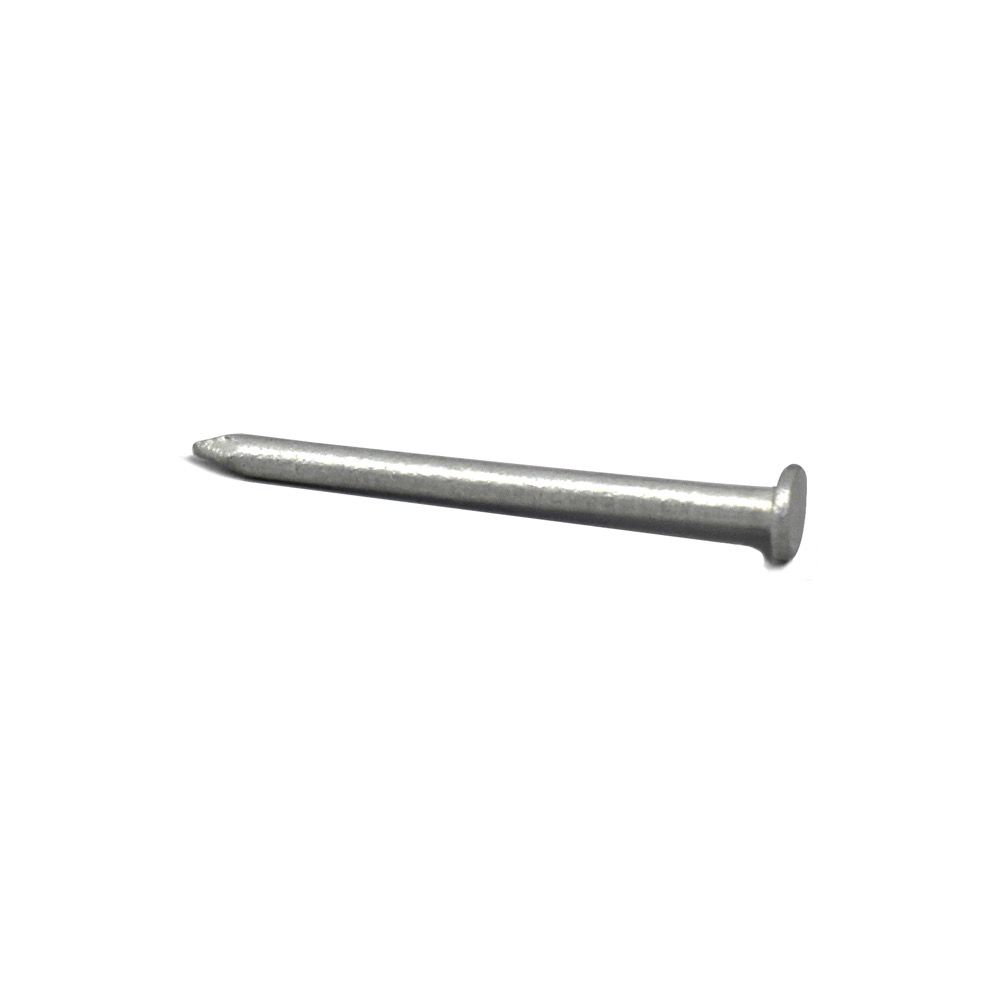 Nails RHD Galvanized 1in 1/2kg