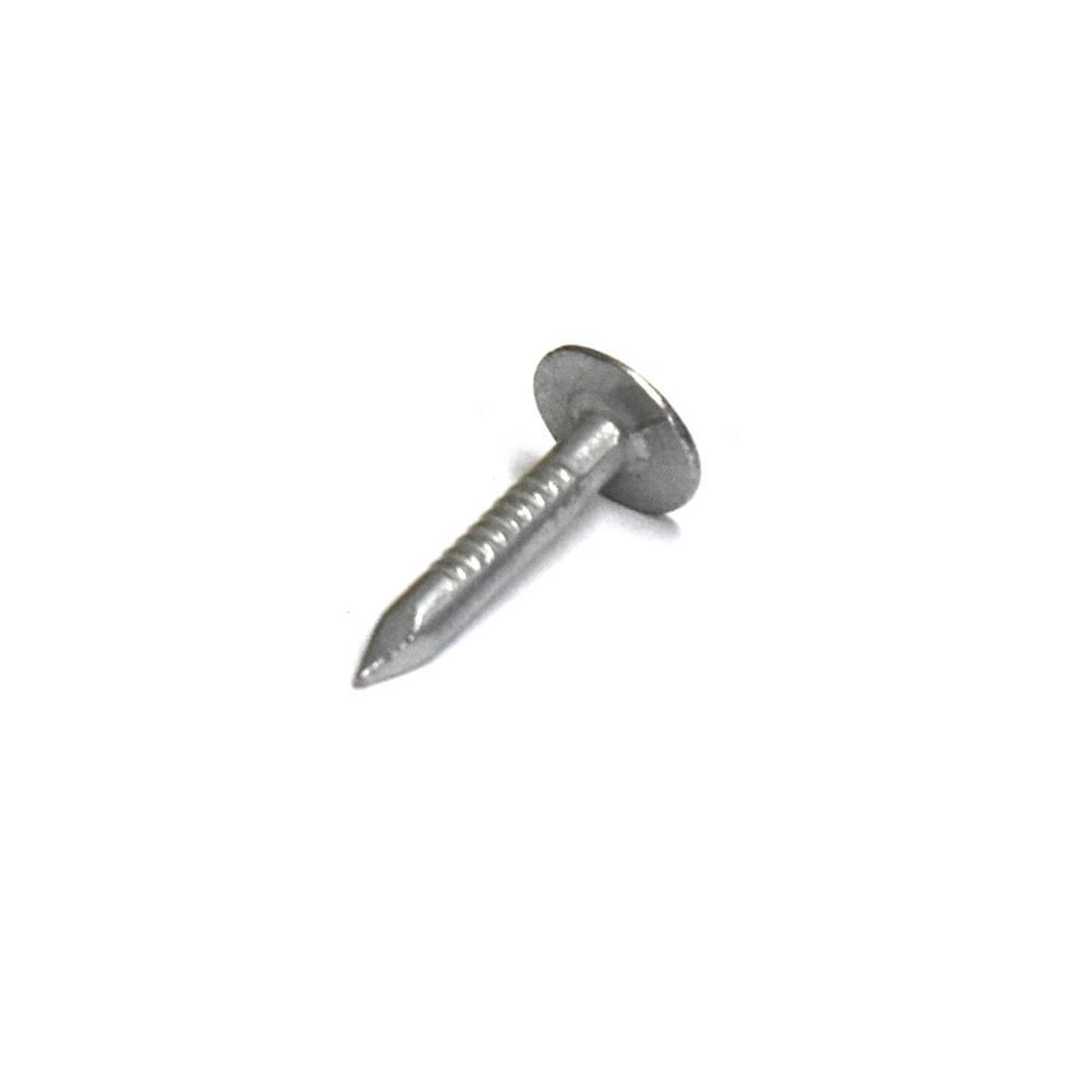 Nails Clout Galvanized 1in (price per kg)