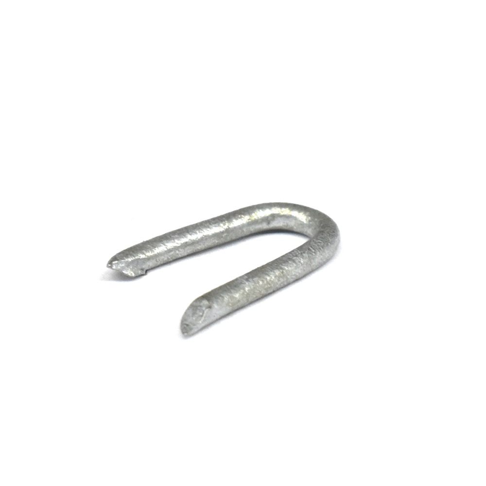 Staples Galvanized 3/4in (20mm)