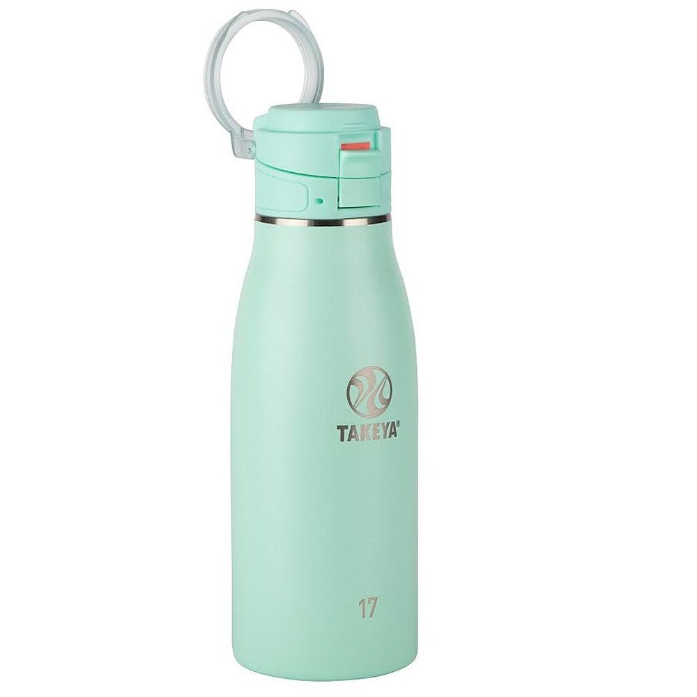 Takeya Thermo Flask Assorted 17oz