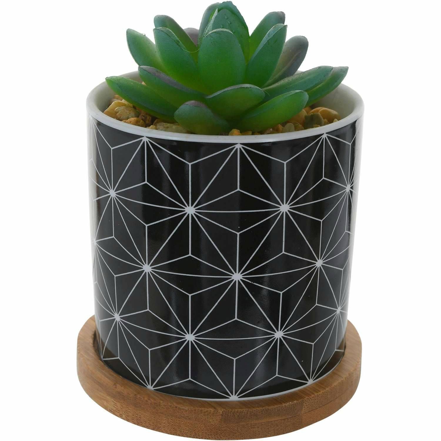 Concepts Life Artificial Plant in Cermaic Pot (439-356844)