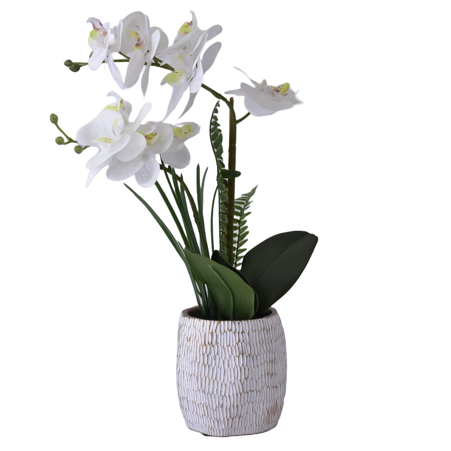 Concepts Life Artificial Orchid with Pot