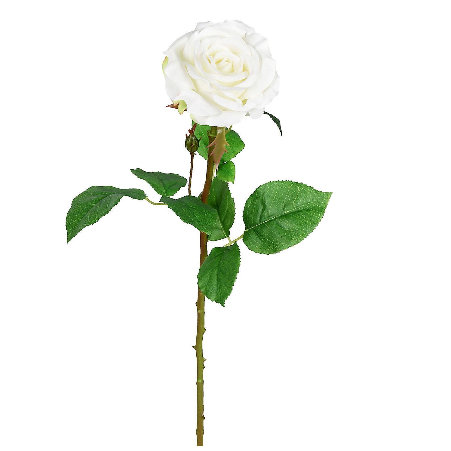 Concepts Life New York Rose White Long Stemmed 26 in.