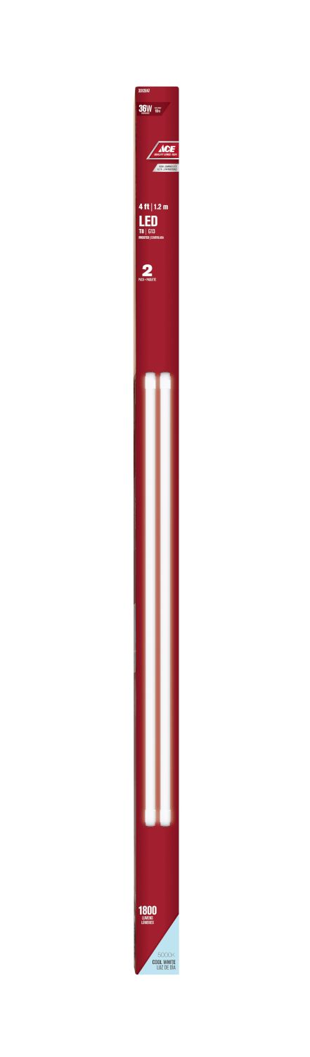 ACE LED Tube T8 18w 2pk 4ft (3012847)