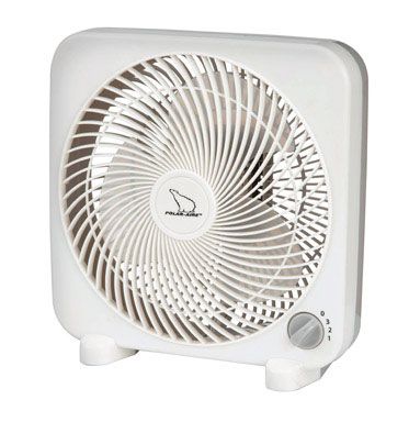 Mini Box Fan 3-Speed (6257588)