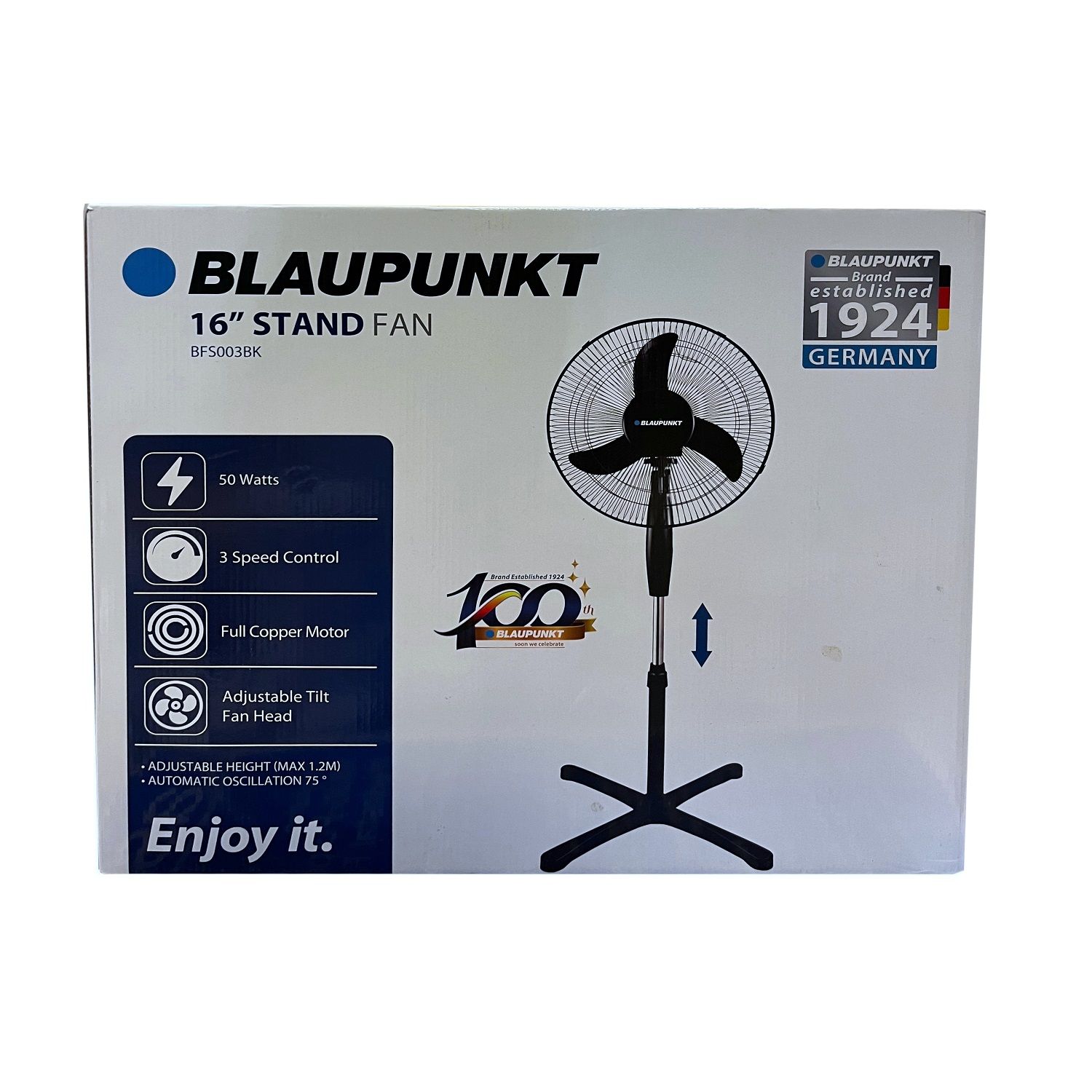 Blaupunkt Standing Fan Black Metal 16 in. (BFS003BK)