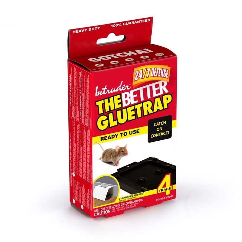 Intruder The Better Gluetrap Small Glue Trap For Mice 4 pk (17500)