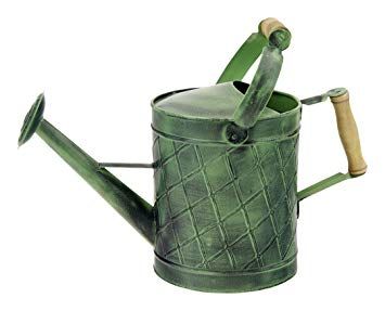 Patina Watering Can Green Metal 2gal