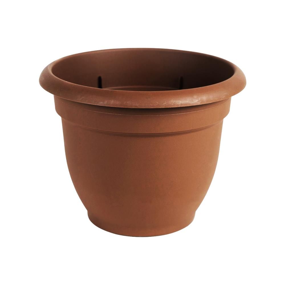 Planter Ariana Chocolate 8in