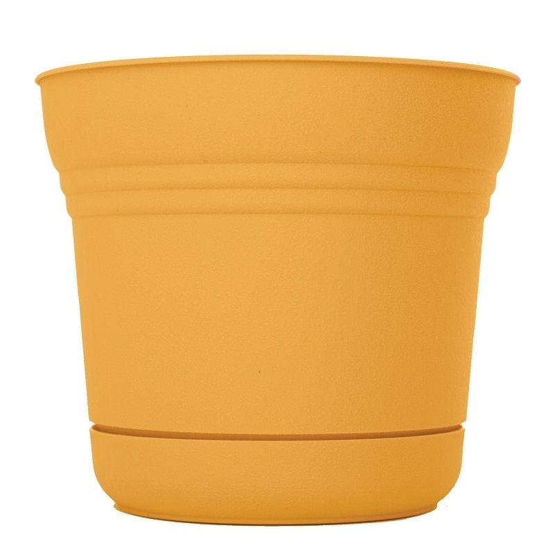 Planter Saturn Yellow 7 in. (7004694)