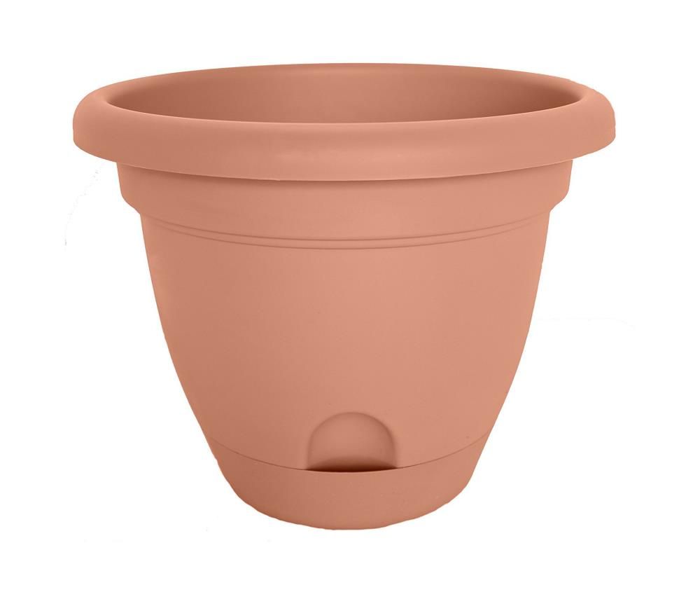 Lucca Planter Terra Cotta 6in