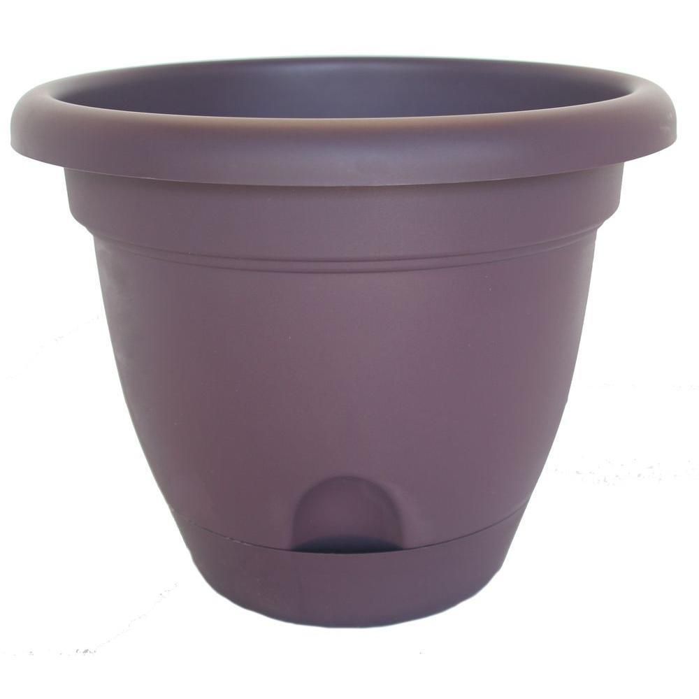 Lucca Planter Exotica 6in