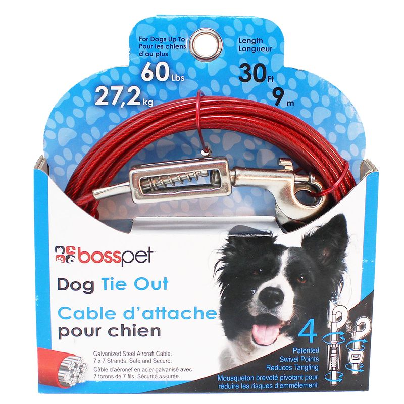 Cable Tie Out Dog Large 30ft (8298853)
