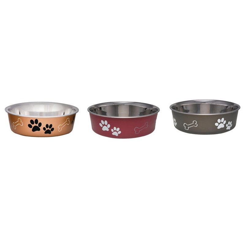 Bella Pet Dish Medium Assorted (8361370)