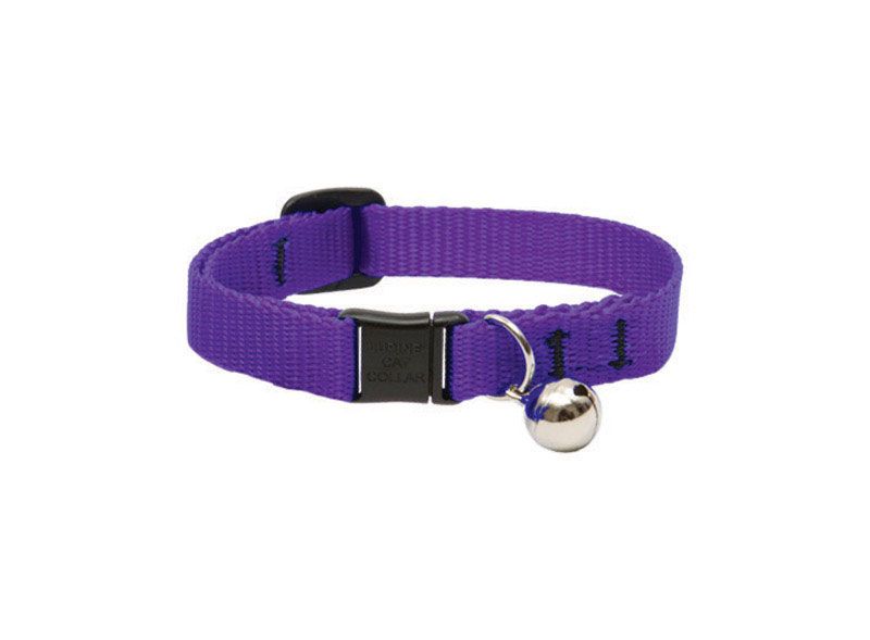 Lupine Basics Cat Collar with Safety Buckle and Bell  Purple 8-12 in. (8425480)