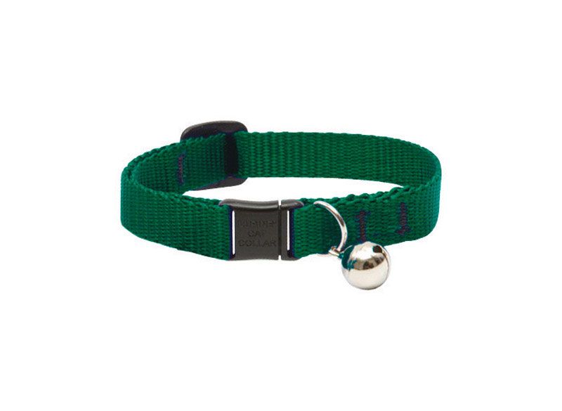 Lupine Basics Cat Collar with Safety Buckle and Bell  Green 8-12 in. (8425464)