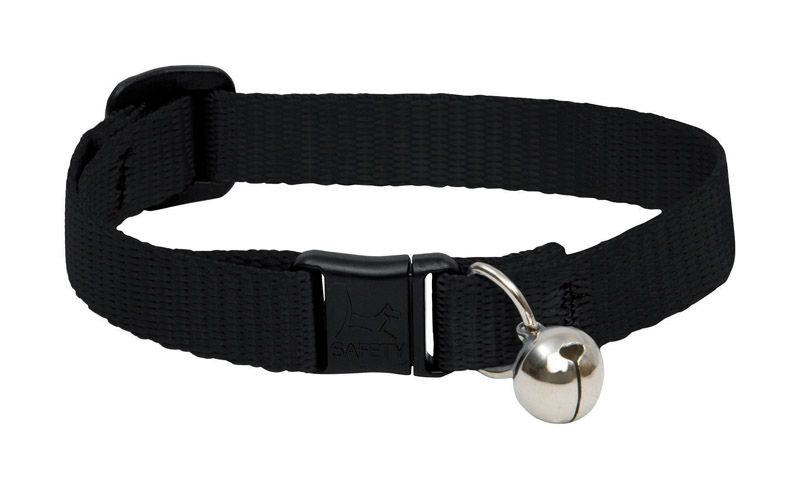 Lupine Basics Cat Collar with Safety Buckle and Bell  Black 8-12 in. (8425449)