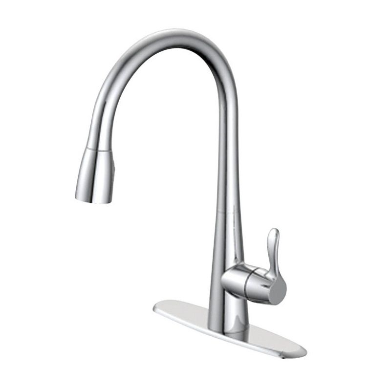 OakBrook 1 Handle Kitchen Faucet Chrome