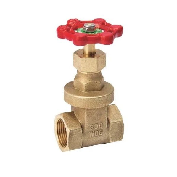 Gate Valve Brass 1/2in