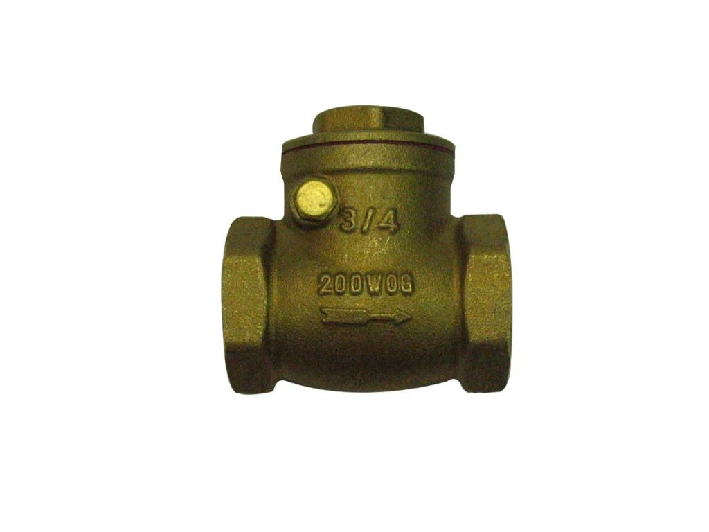 Check Valve Swing Brass 3/4in