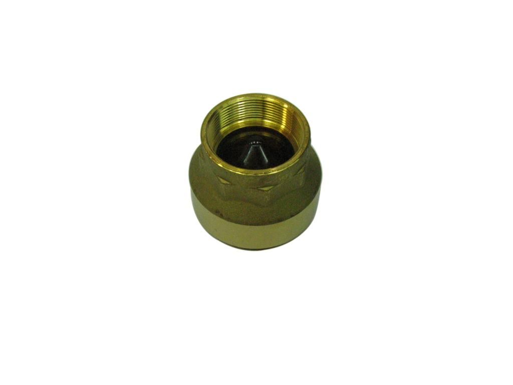 Check Valve In-Line Brass 2in