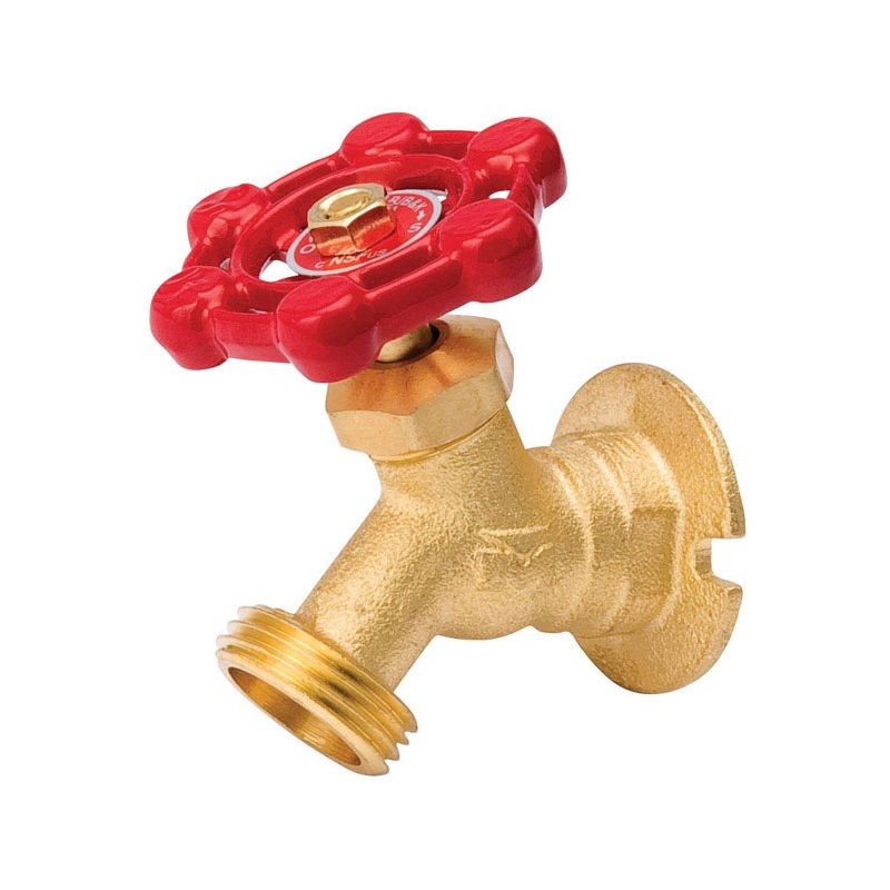 Sillock Valve 3/4 FPT (4866307)