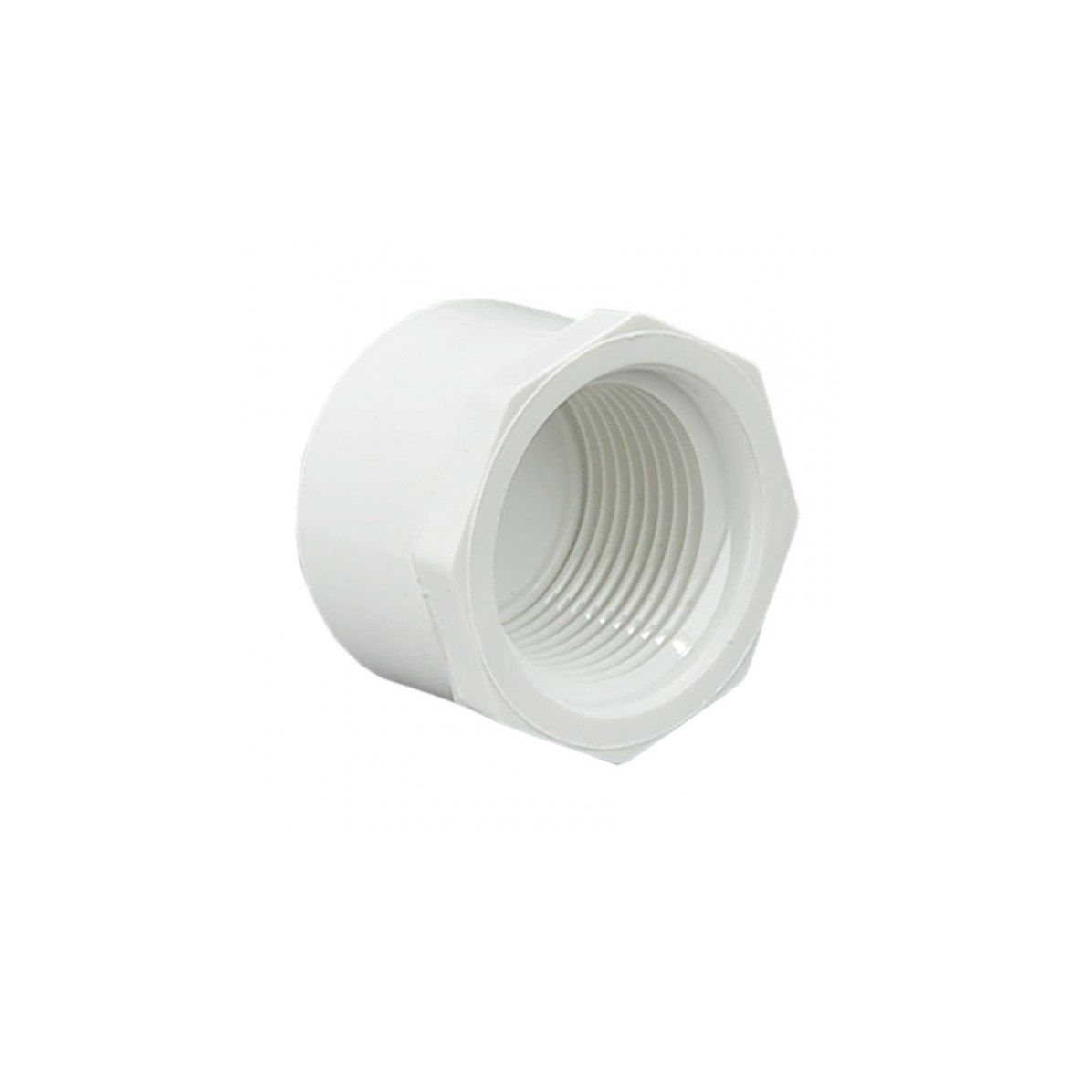End Cap Threaded Schedule 40 1in