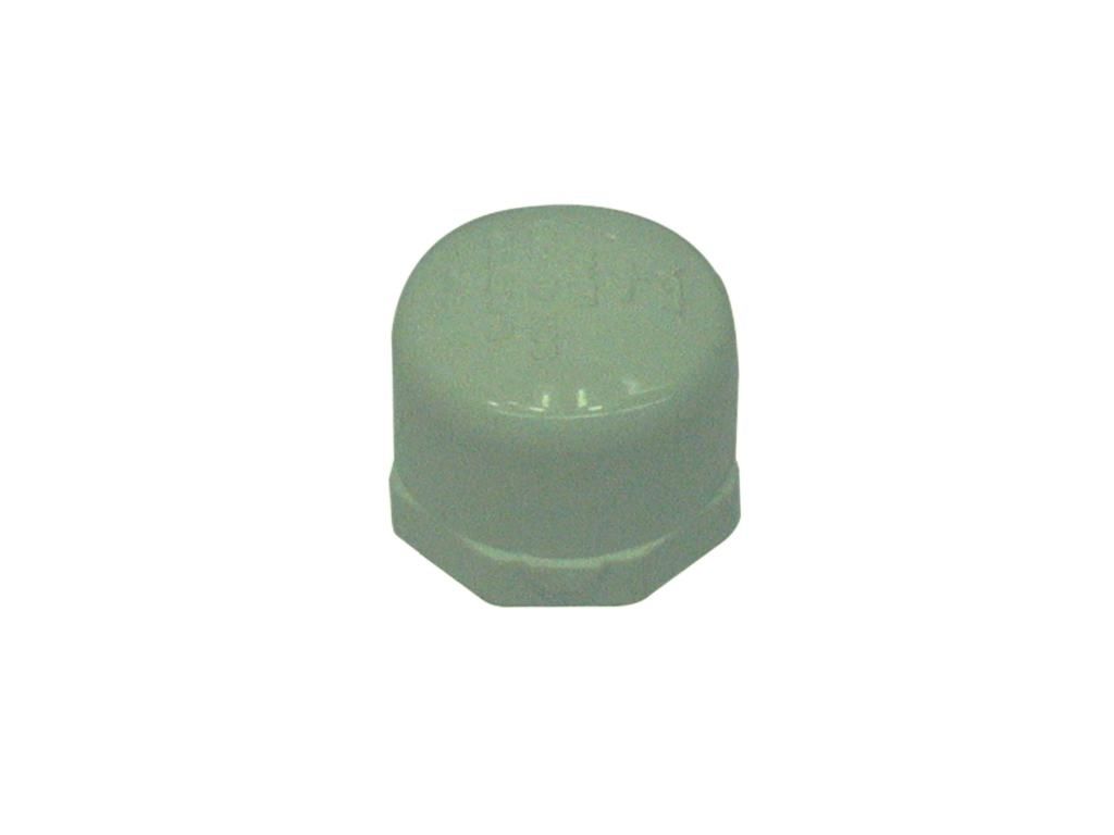 Cap End SCH40 Threaded 3/4in