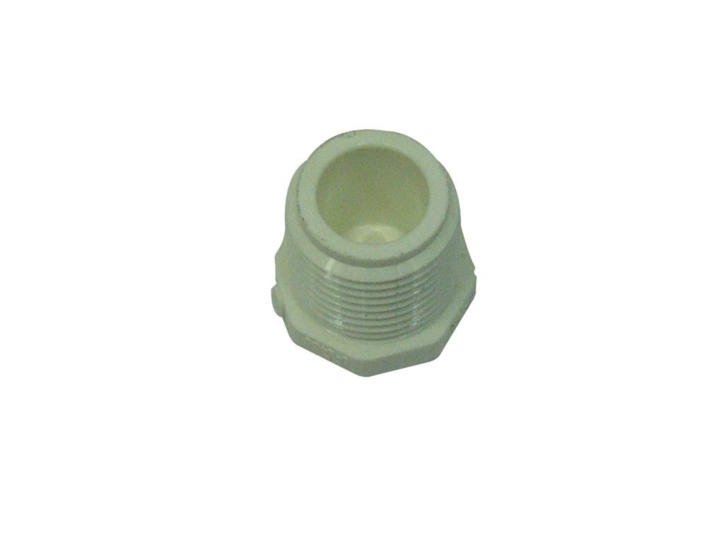 Plug SCH40 Threaded 1/2in
