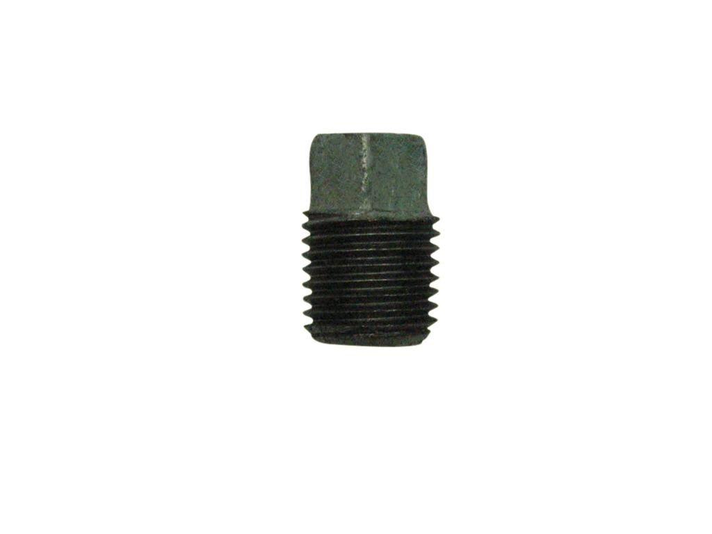 Plug Galv. 1/4in