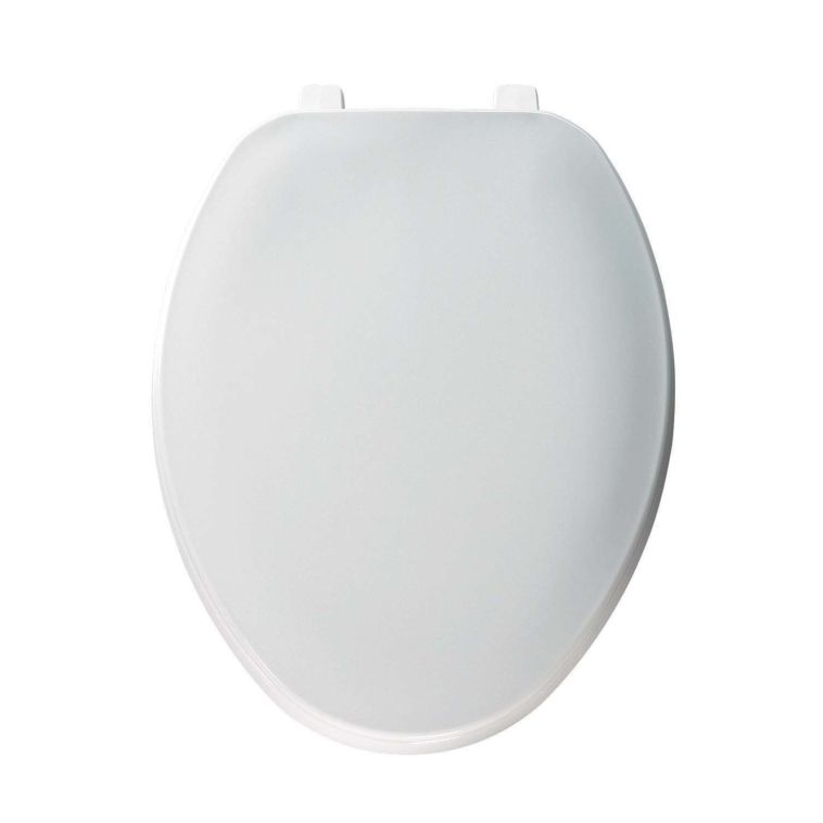 Molded Plastic Toilet Seat in White