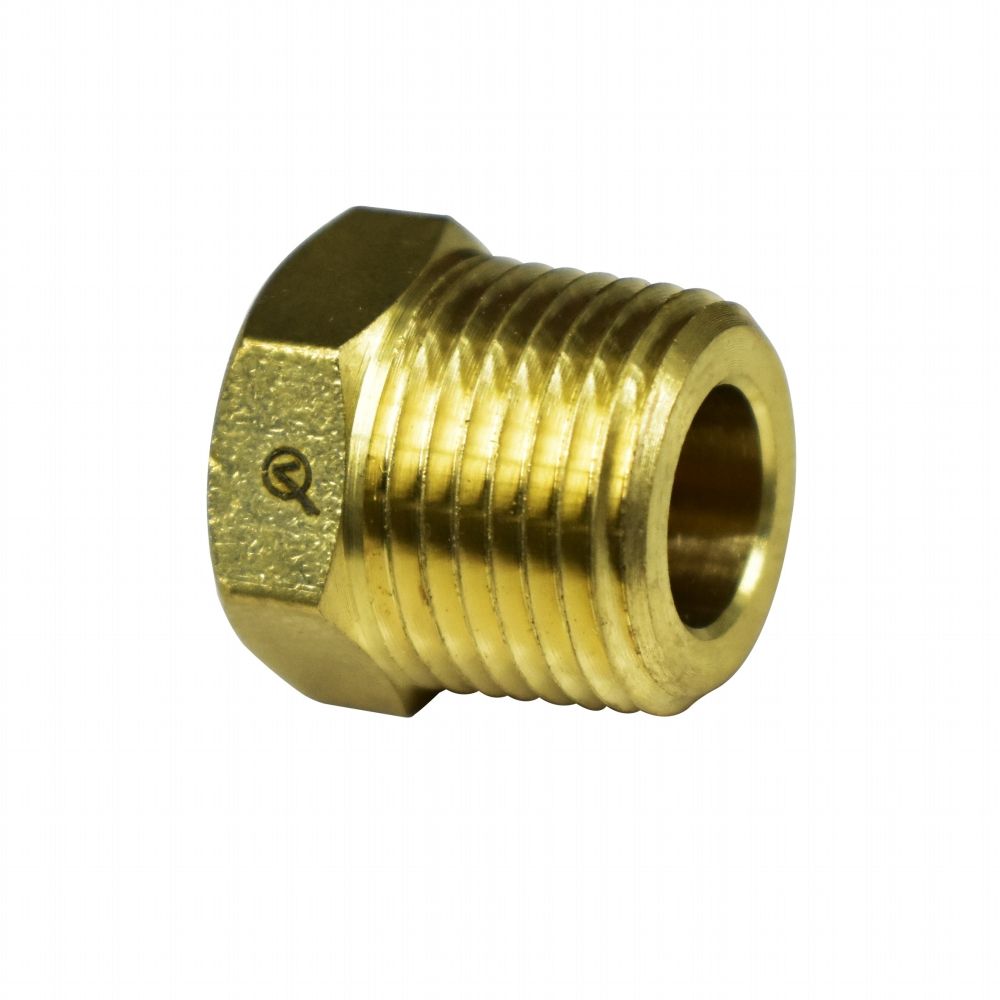 Cored Plug Hex Head 1/4in (4505046)