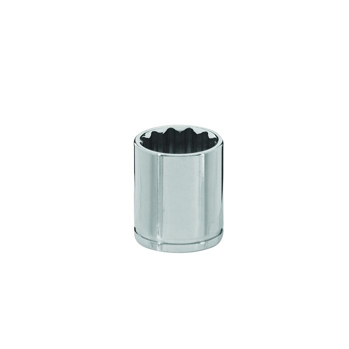 Socket 21mm 3/8in Drive 12pt (23618)