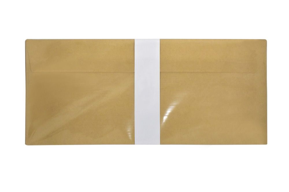 Envelopes White/Manilla 4in x 9in 20pk