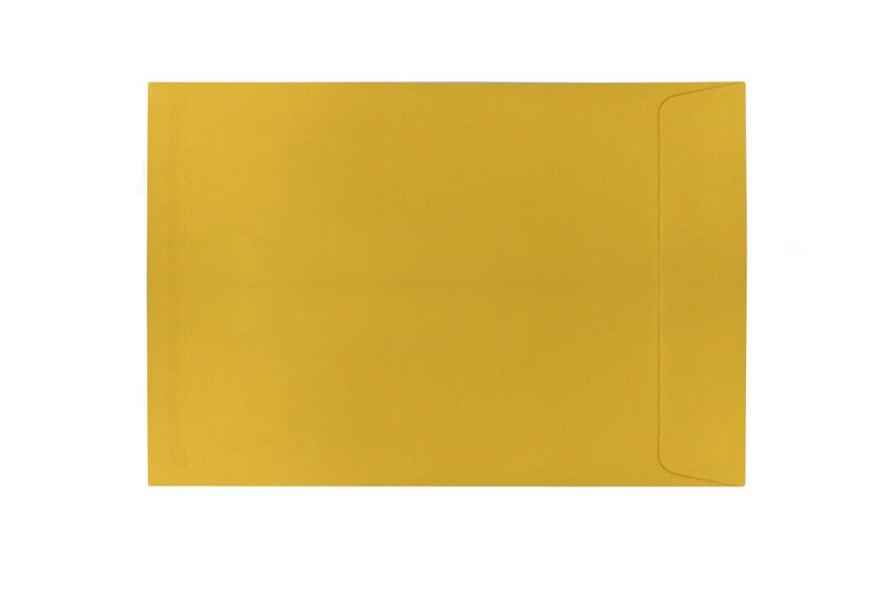 Envelope 15in x 10in