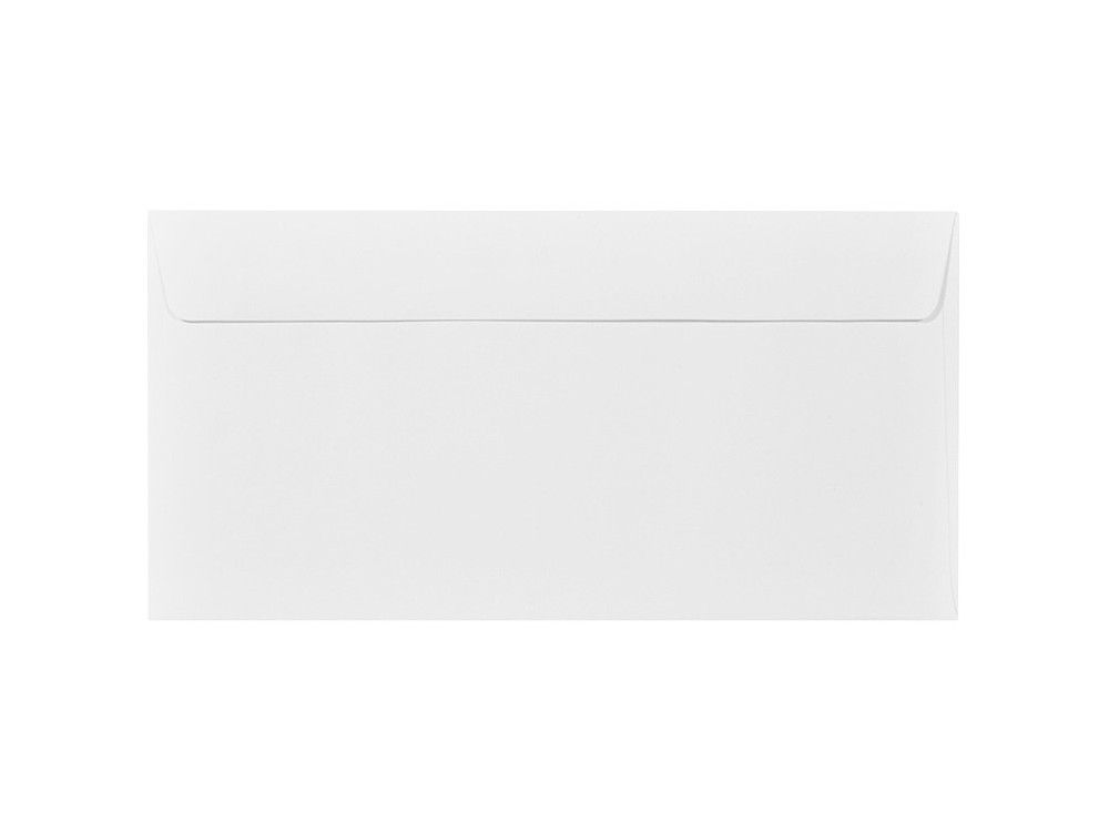 Single White Envelopes 4 x 9 in.