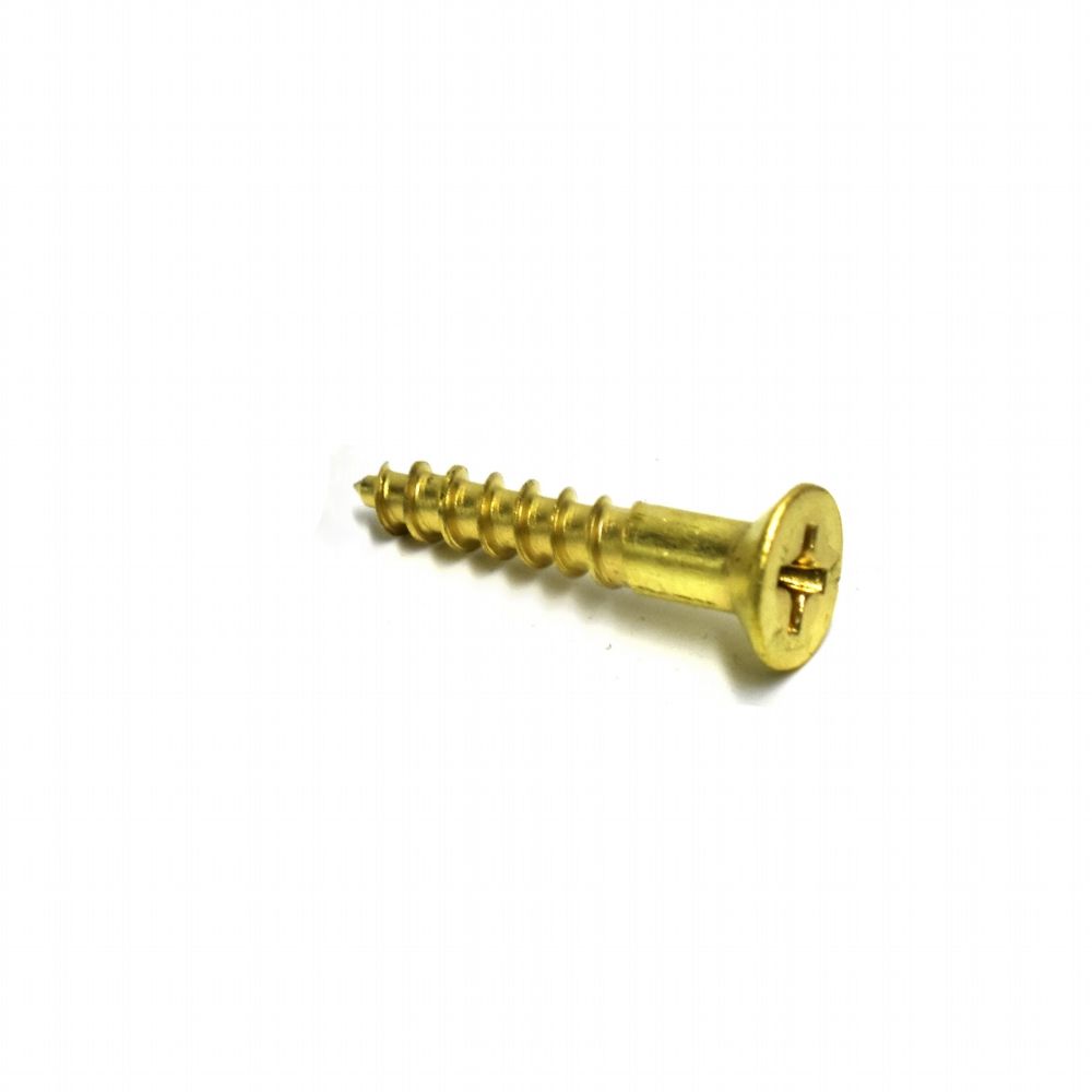 Screw Brass 8 x 1/2in