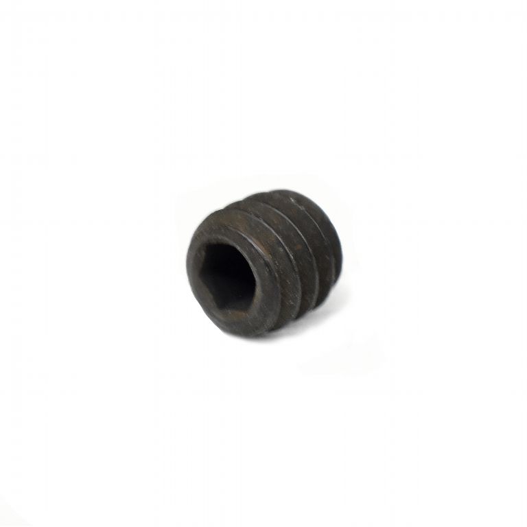 Socket Set Screw 5/16in x 5/16in