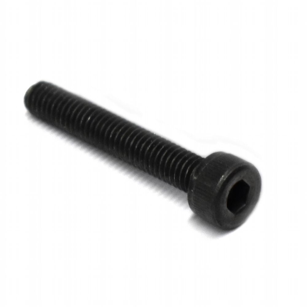 Screw Socket Head M4 x 25