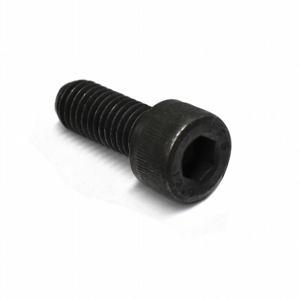 Screw Socket Head 8 x 20