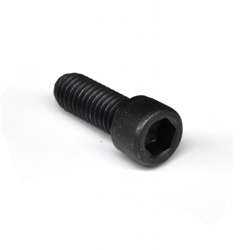 Screw Socket Head 1/2 x 1