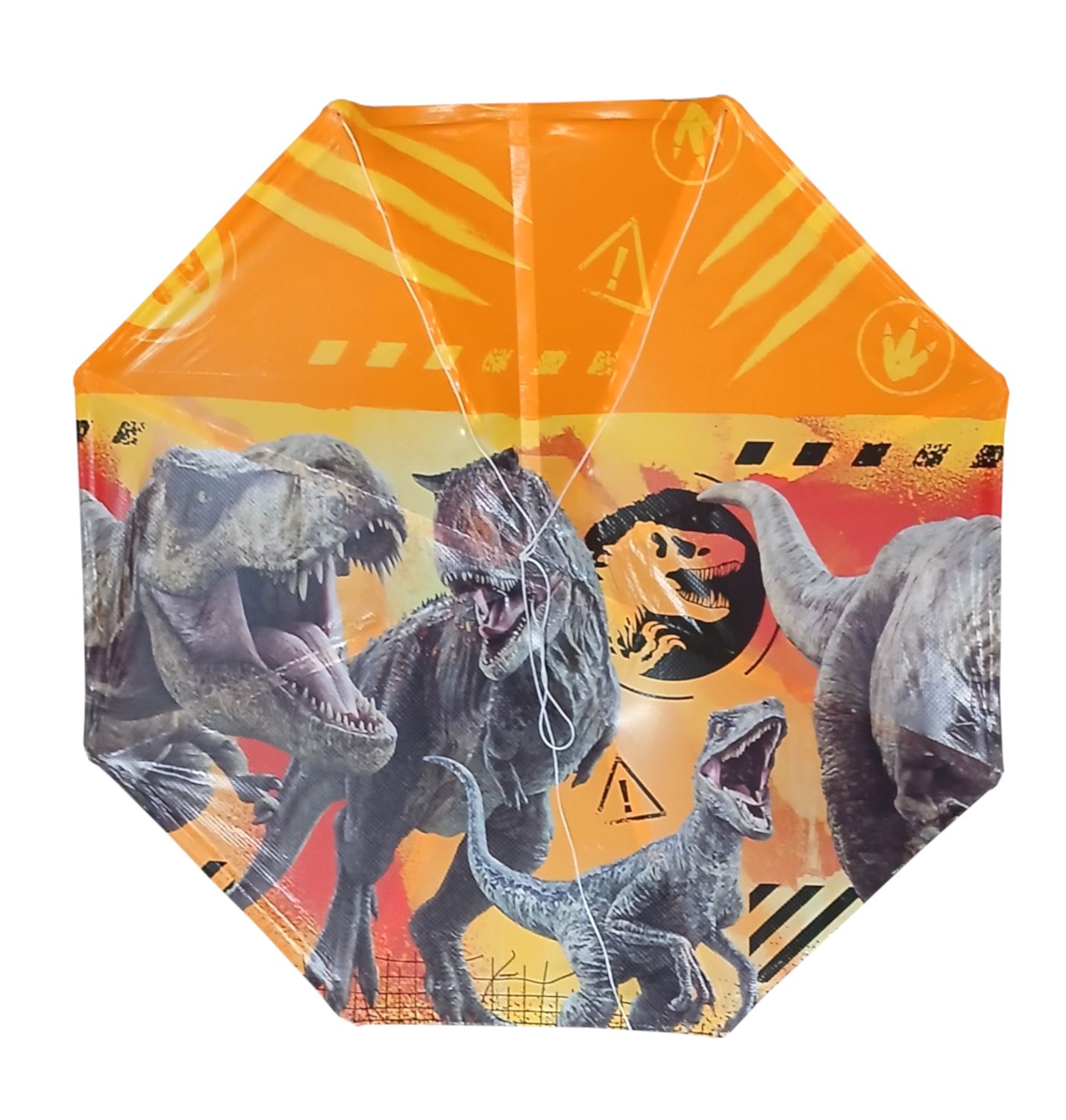 20" Kite With Cord & Tail