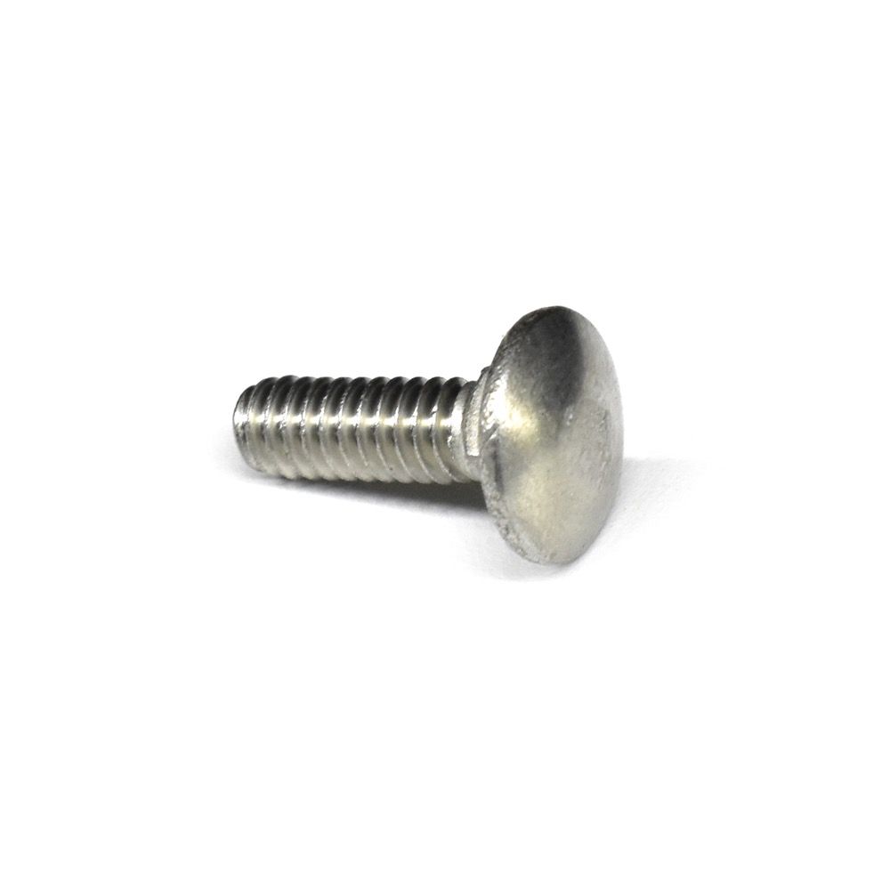 Bolt Carriage Stainless Steel 3/8in x 1in