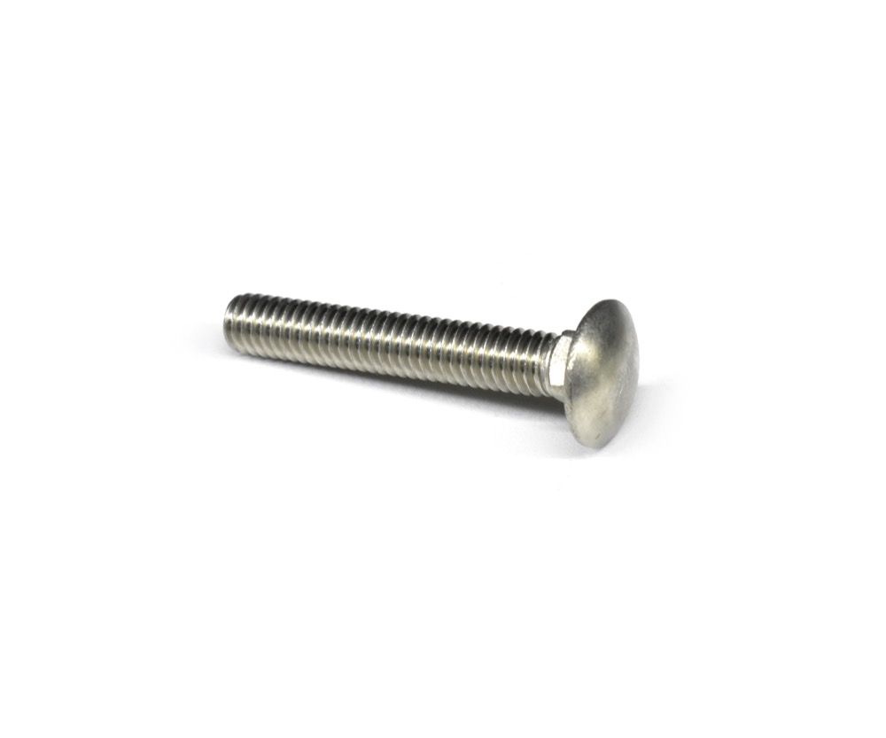 Bolt Carriage Stainless Steel 3/8in x 2in