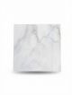 UV Marble Wall Panel ZT8856 Interior