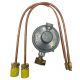 Regulator Gas 100lb Cylinder (BN-11072T)