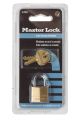 Master Padlock (120D)