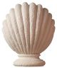 Faux Coral Shell Sconce with Pedestal